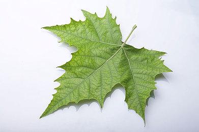 《守望先锋2》第二轮B测新内容 输出英雄迎来新被动